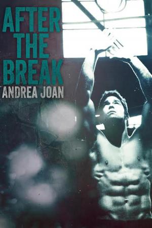 Cover of the book After The Break by Cricket Rohman