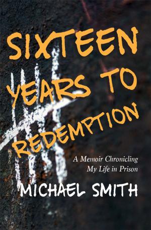 Book cover of Sixteen Years to Redemption