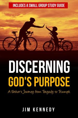 Book cover of Discerning God's Purpose: A Father's Journey from Tragedy to Triumph