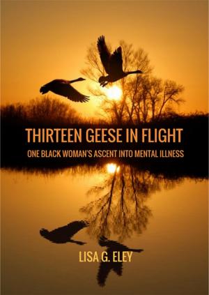 Cover of the book Thirteen Geese in Flight by Douglas Bloch