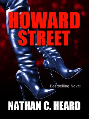 Cover of the book Howard Street by Erika Rhys