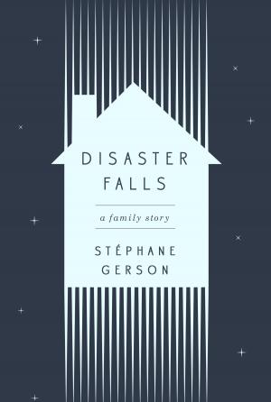 Cover of the book Disaster Falls by Peter Stratton