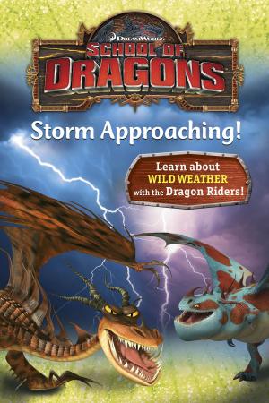 Cover of the book School of Dragons #3: Storm Approaching! (DreamWorks Dragons) by Jon Meacham