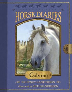 Cover of the book Horse Diaries #14: Calvino by Margot McDonnell