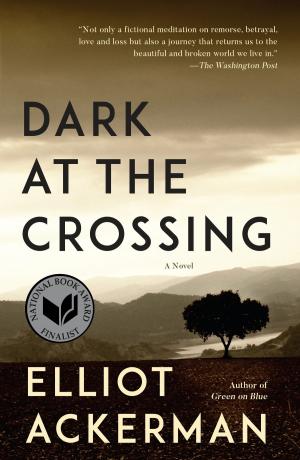 Cover of the book Dark at the Crossing by Christa Wolf