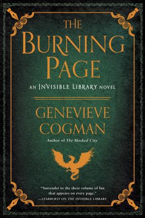 Book cover of The Burning Page