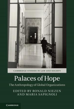 Cover of the book Palaces of Hope by Giovanni Pratesi, Vanni Moggi Cecchi, Monica M. Grady