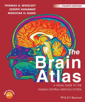 Cover of the book The Brain Atlas by Neil Z. Stern, Willard N. Ander