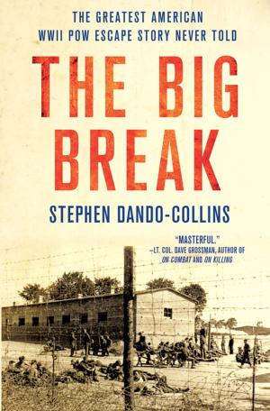 Book cover of The Big Break