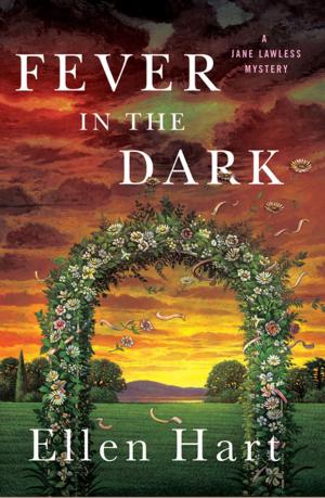 Cover of the book Fever in the Dark by Jane Langton