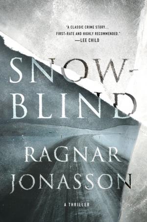 Book cover of Snowblind
