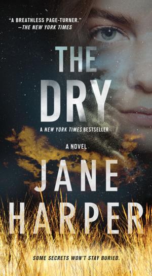 Cover of the book The Dry by Carrie Fountain