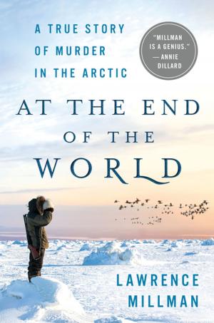 Cover of the book At the End of the World by Joan Hess