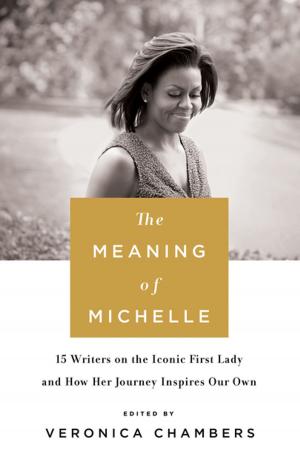 Book cover of The Meaning of Michelle
