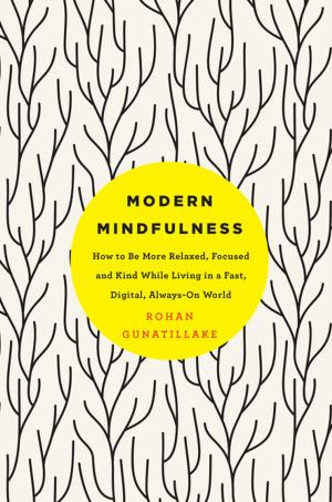 Cover of the book Modern Mindfulness by John Maddox Roberts