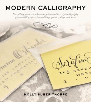 Cover of the book Modern Calligraphy by Martin Plimmer, Brian King
