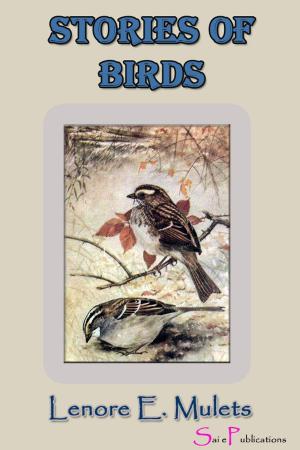 Cover of the book Stories of Birds by Kalidas