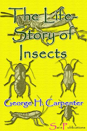 Cover of the book The Life-Story of Insects by Dr. Richard Von Garbe