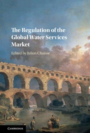 Cover of the book The Regulation of the Global Water Services Market by Douglas Maraun, Martin Widmann