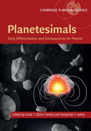 Cover of the book Planetesimals by Ernian Pan, Weiqiu Chen