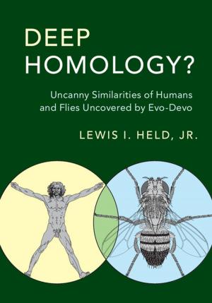 Cover of the book Deep Homology? by Jasper Heinzen