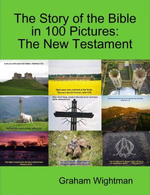 Cover of the book The Story of the Bible In 100 Pictures: The New Testament by Mike Davis