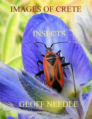 Cover of the book Images of Crete - Insects by George Fairbairn