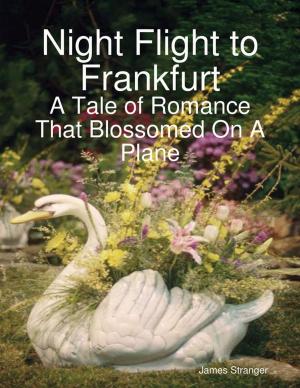 Cover of the book Night Flight to Frankfurt by Ashlie Knapp