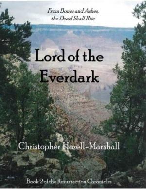 Cover of the book Lord of the Everdark by F. A. Ludwig