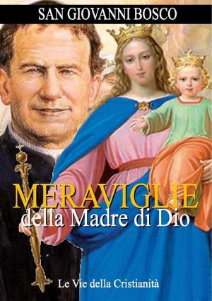 Cover of the book Meraviglie della Madre di Dio by Sant'Agostino di Ippona