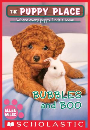 Cover of the book Bubbles and Boo (The Puppy Place #44) by Paula Harrison