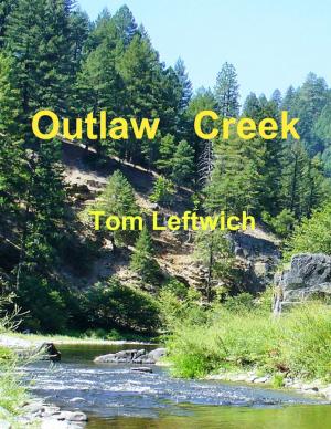 Cover of the book Outlaw Creek by Minecraft Guides