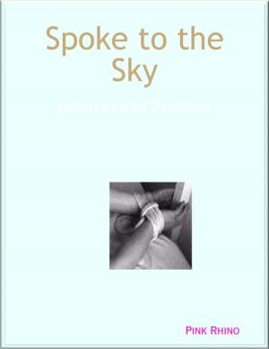 Cover of the book Spoke to the Sky: Behaviour or Practice by Francesca Romana Pistoia