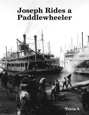 Cover of the book Joseph Rides a Paddlewheeler by Nicholas Okumu