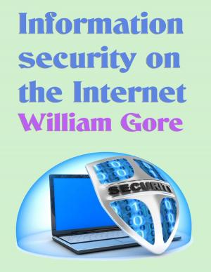 Cover of the book Information Security on the Internet by Ebony Delaney