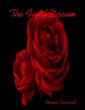 Cover of the book The Final Dream by JW Schnarr