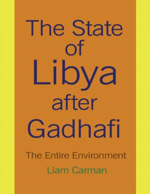 Cover of the book The State of Libya After Gadhafi by MORI Hiroshi