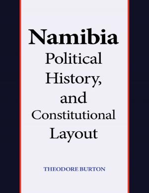 Cover of the book Namibia Political History, and Constitutional Layout by E.M. Berens