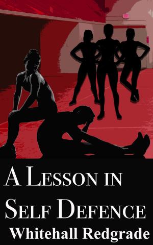 Cover of the book A Lesson in Self Defence by Melissa Virus