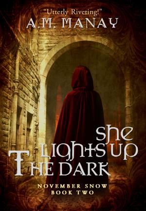 Cover of She Lights Up the Dark