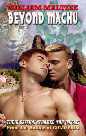 Cover of the book Beyond Machu by Jenn Dease