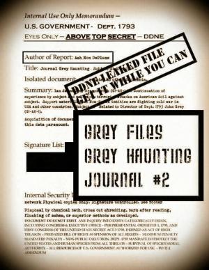 Book cover of The Grey Files: Grey Haunting