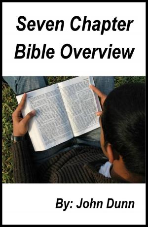 Cover of the book Seven Chapter Bible Overview by John Dunn