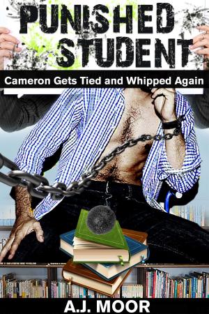 Cover of Punished Student: Cameron Gets Tied and Whipped Again