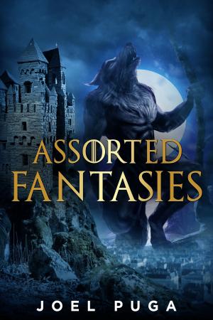Cover of the book Assorted Fantasies by Rhys Hughes