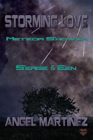 Cover of the book Serge & Een by A.C. Katt