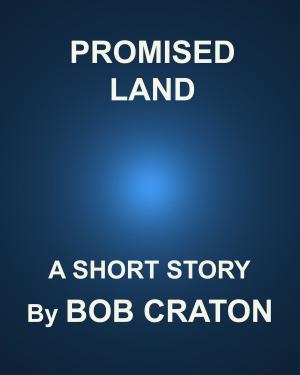 Cover of the book Promised Land by Cindy Charles Ouellette