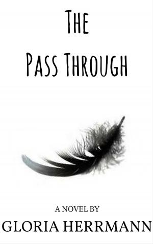 Cover of the book The Pass Through by Chloe Behrens