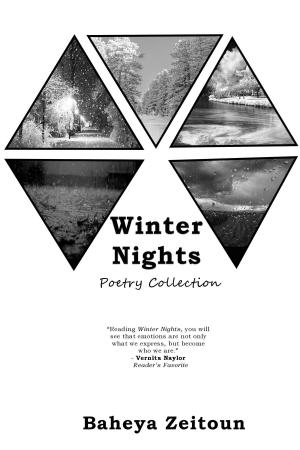 Cover of the book Winter Nights by Henri Donnadieu