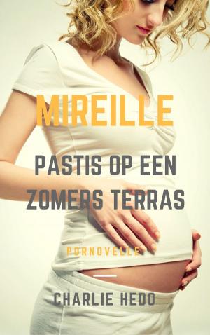 Cover of the book Pastis op een Zomers Terras by Charlie Hedo